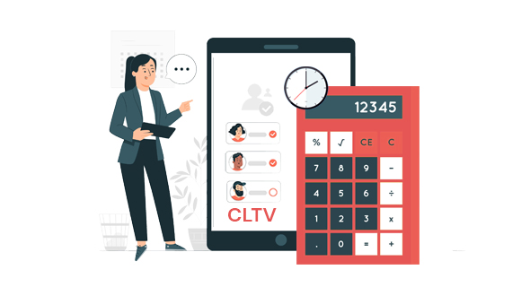 Customer-Lifetime-Value-Calculator