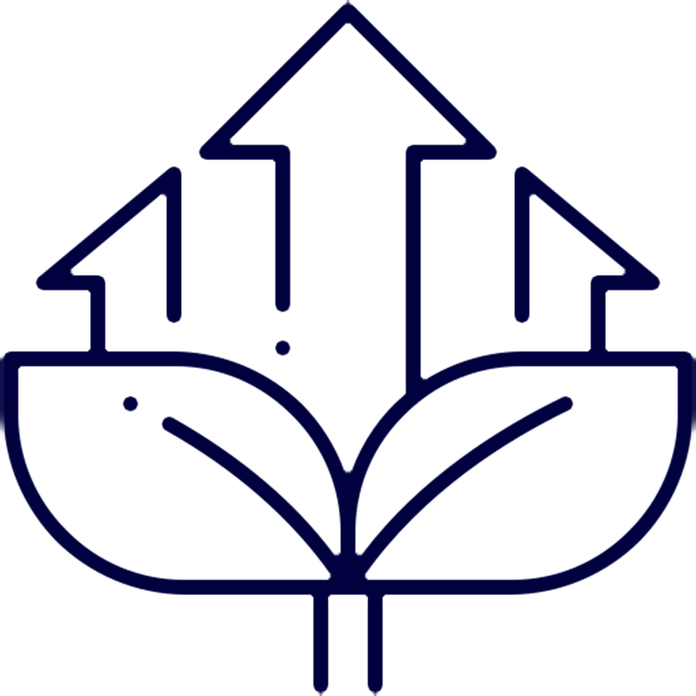 sustainable-growth-focus