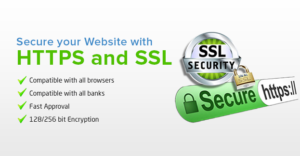  E-Commerce SEO