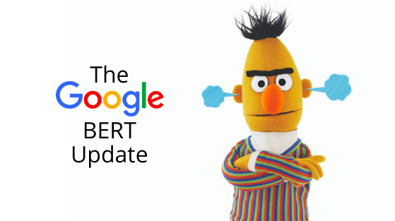 BERT google update