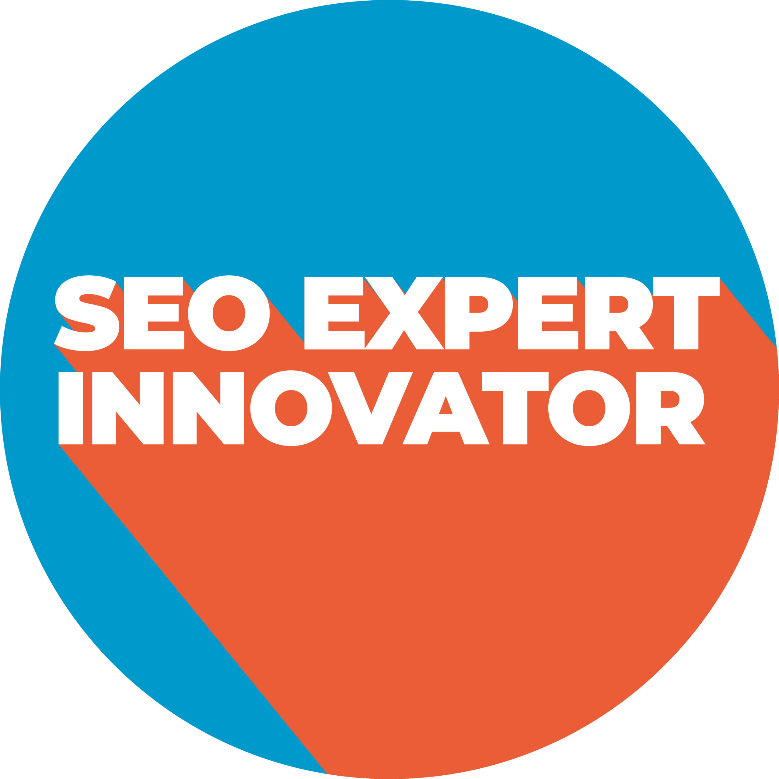 SEO Expert Innovator