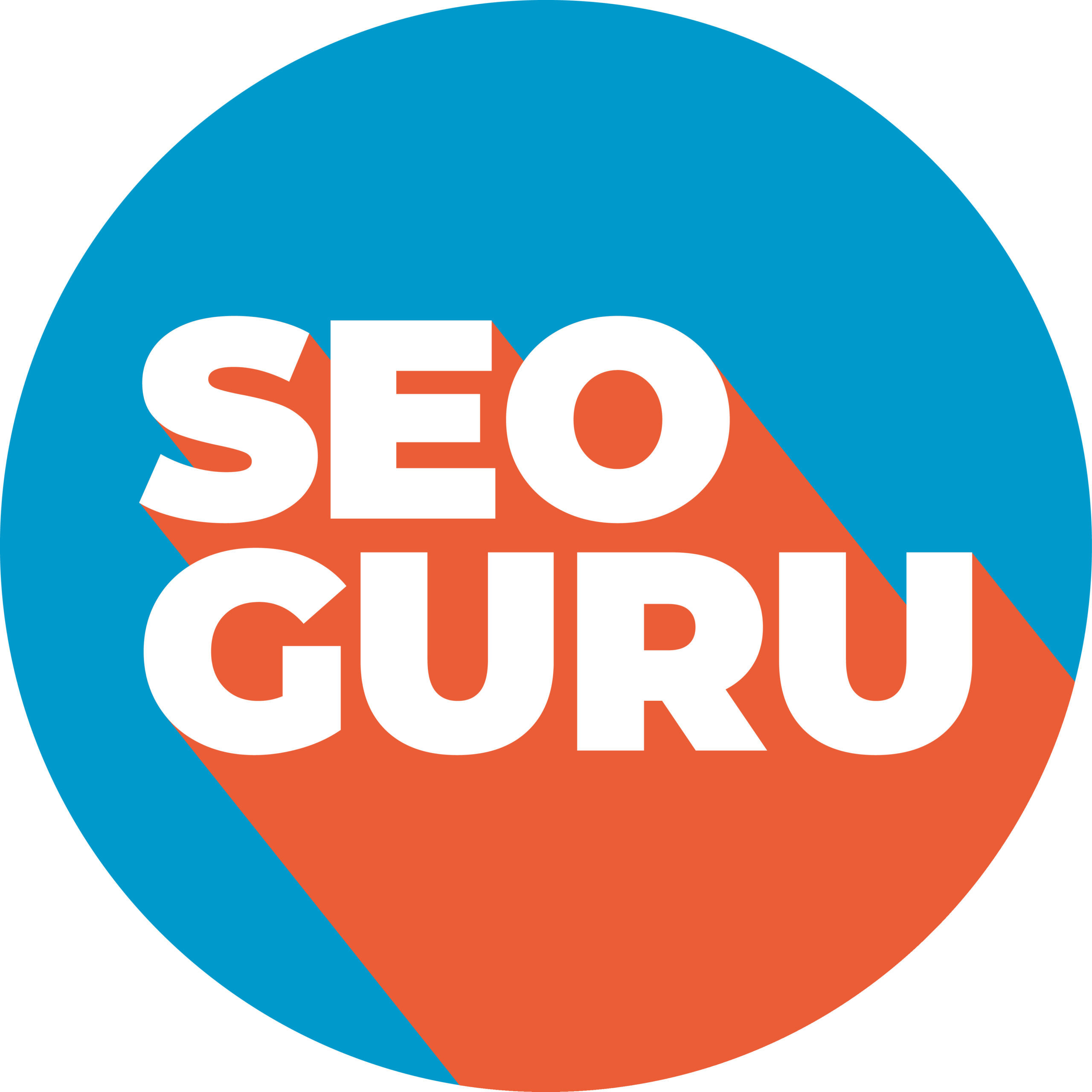 Seo Guru