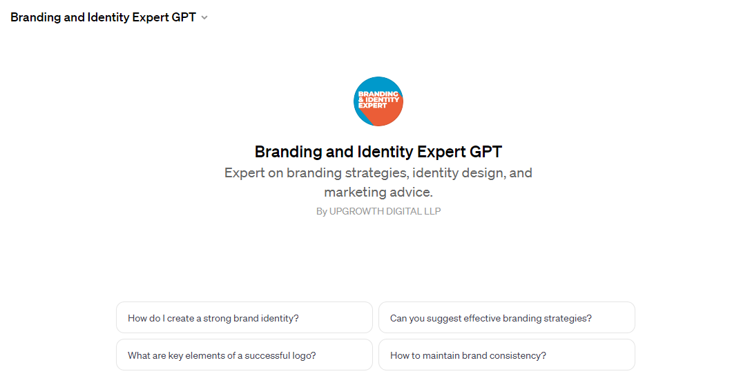 Branding and Identity Expert